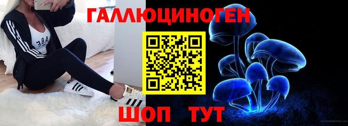 Галлюциногенные грибы GOLDEN TEACHER  Вход с VPN  Галлюциногенные грибы Magic Shrooms  Боровичи 