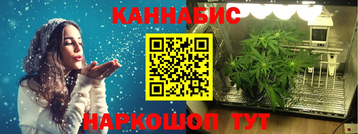 Боровичи  Каннабис LSD WEED  Канабис сатива  Канабис THC 21%  Вход с VPN 